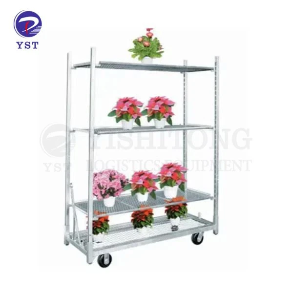 Nursery Tsheb Thauj Mus Los