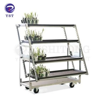 Danish Trolley Zaub