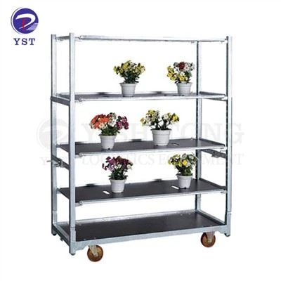 Plant Shipping Thawv