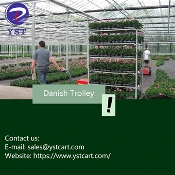 Danish Trolleys Rau Lub Tsev Kho Mob