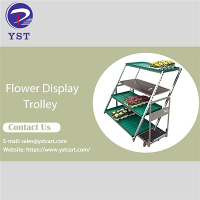 Sab saum toj Paj Zaub Trolley: Nta Saib Thaum Xaiv Qhov Zoo