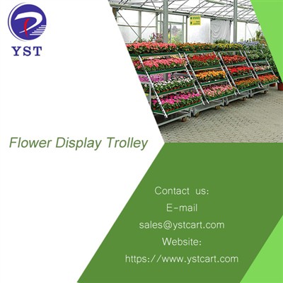Creative Ways Cultivate Paj Rau Ib Lub Paj Zaub Trolley