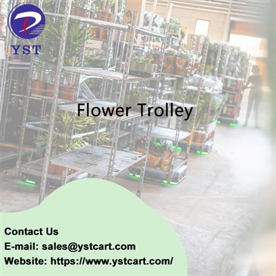 Maximize Efficiency Thiab Yooj Yim Nrog Paj Zaub Trolley