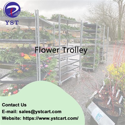 Revolutionize Paj Lag Luam Nrog Paj Zaub Trolley