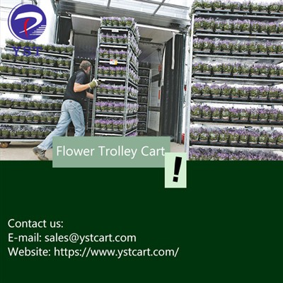 Xaiv Paj Zaub Trolley Kev daws teeb meem rau kev nyab xeeb thiab ruaj ntseg p...