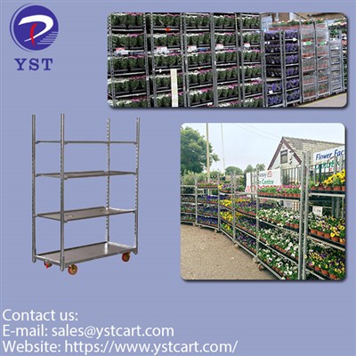 Coj cog cog rau qib tom ntej nrog paj zaub trolleys