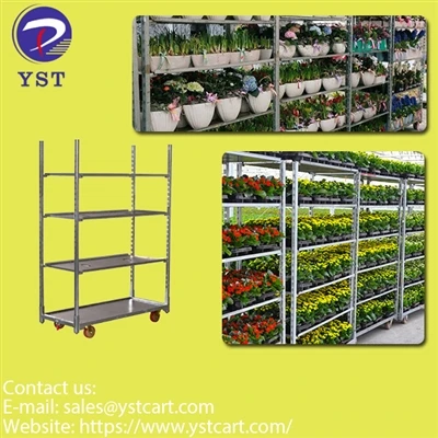 Nce paj tawm los thiab zoo nrog cog Trolley rau kev cog qoob loo