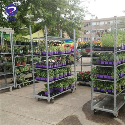 Mesh Hlau Paj Rack