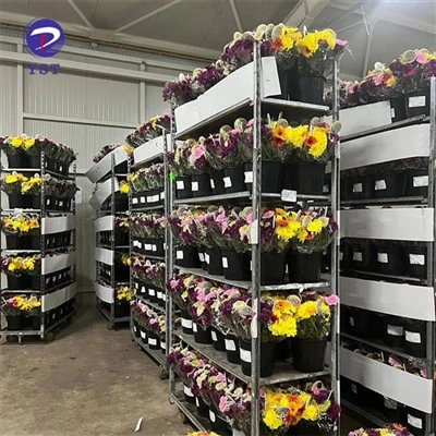 Hlau Nursery Carts