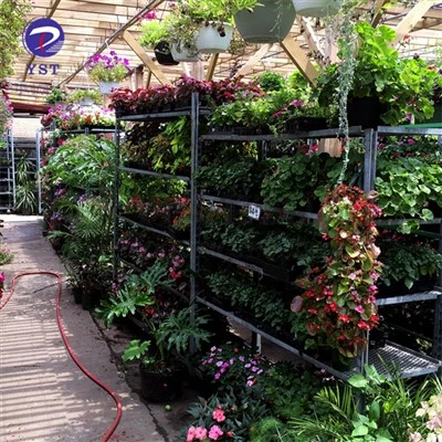 Nursery Garden Cart Trolley Rau Paj
