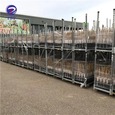 Nursery Shipping Racks