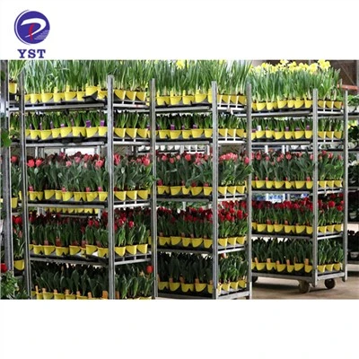 Plant Transport Nursery Rack Trolley
