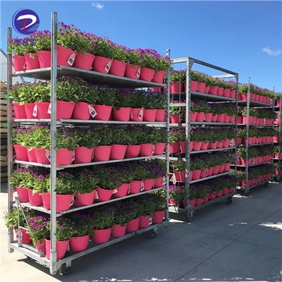 Hlau Nursery Rack