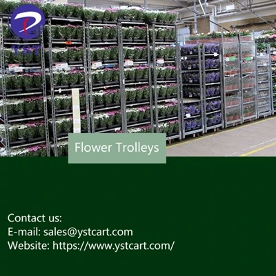 Optimizing Greenhouse Management Nrog Kev Siv Paj Trolleys