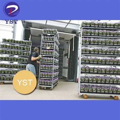 Thauj paj nrog kev sib haum xeeb ntawm lub siab nrog Danish Trolleys